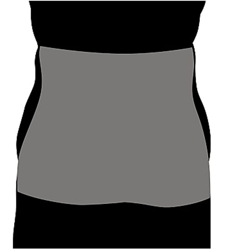 Miraclesuit Waist Cincher