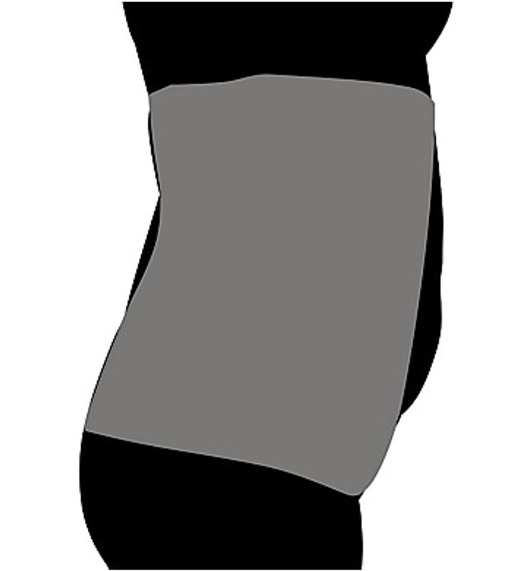 Miraclesuit Waist Cincher